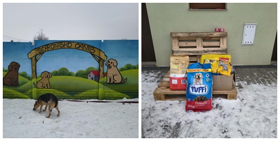 Tu podaj tekst alternatywny